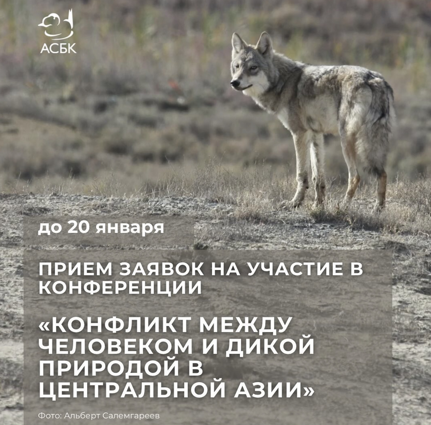 Региональная научно-практическая конференция «Конфликт между человеком и дикими животными в Центральной Азии»